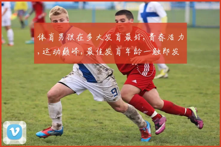 体育男孩在多大发育最好,青春活力,运动巅峰,最佳发育年龄一触即发