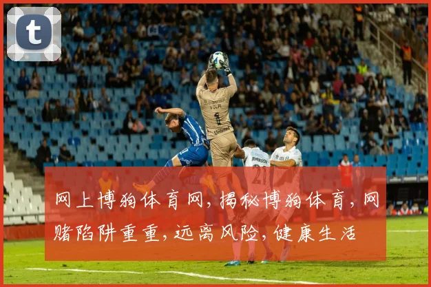 网上博狗体育网,揭秘博狗体育,网赌陷阱重重,远离风险,健康生活