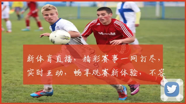 新体育直播，精彩赛事一网打尽，实时互动，畅享观赛新体验，不容错过，必看之选