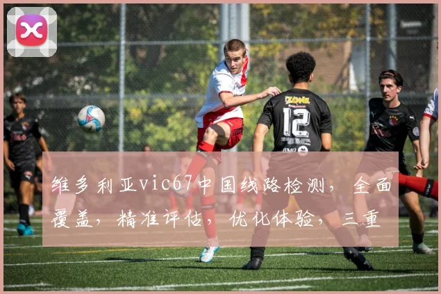 维多利亚vic67中国线路检测，全面覆盖，精准评估，优化体验，三重保障，必看攻略，三步解锁。
